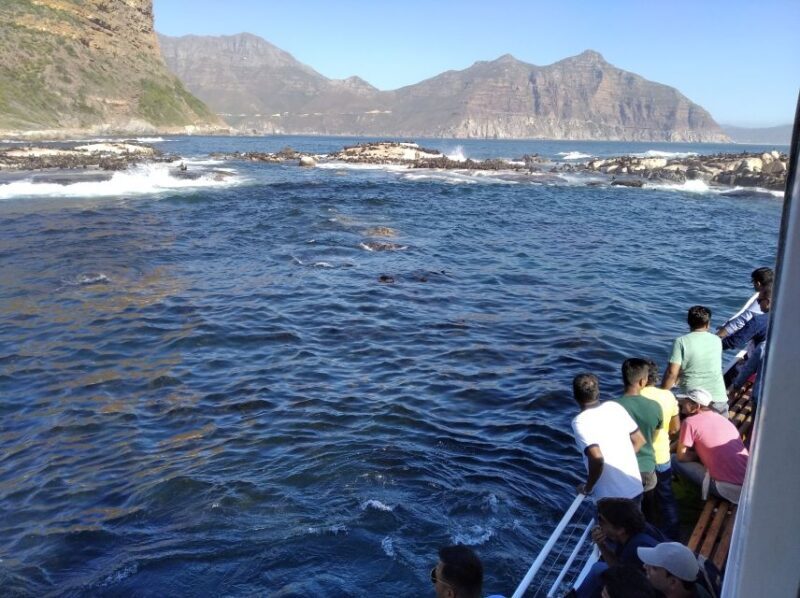 From Cape Town: Glass-Bottom Boat Seal Watching Tour - Who Should Consider This Tour?