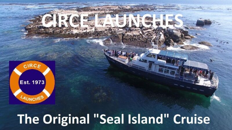 From Cape Town: Glass-Bottom Boat Seal Watching Tour - The Sum Up