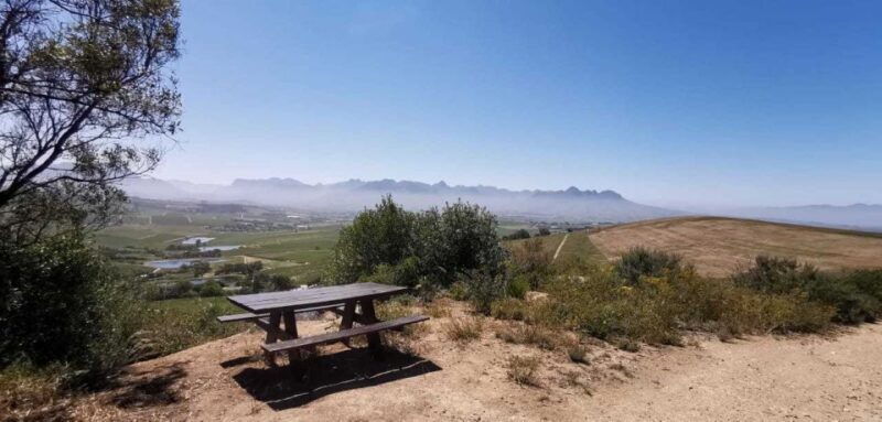 From Cape Town: Half-Day Winelands E-Bike Tour - From Cape Town: Half-Day Winelands E-Bike Tour – A Practical Guide for Curious Travelers