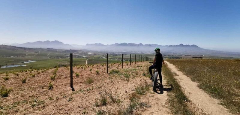 From Cape Town: Half-Day Winelands E-Bike Tour - Final Thoughts
