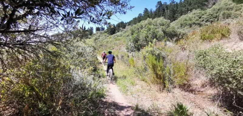 From Cape Town: Half-Day Winelands E-Bike Tour - FAQ
