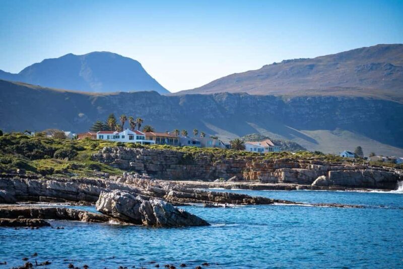 From Cape Town: Hermanus Whale Watching Full Day Tour - Visiting Peregrine Farm Store and Return Journey