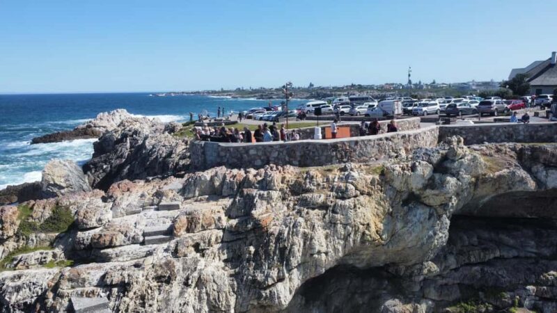 From Cape Town: Hermanus Whale Watching Tour with Boat Trip - Key Points