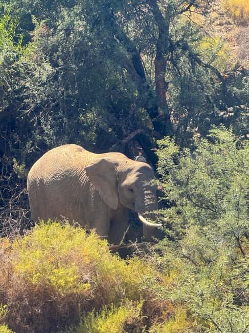 From Cape Town: Safari & Wine Tour - Final Words
