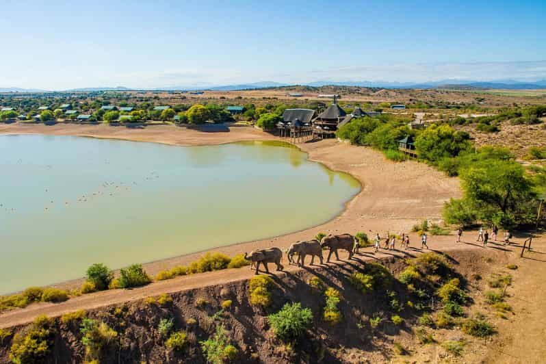 From Cape Town: South African Wildlife and Safari 2-Day Tour - What Travelers Love About This Tour