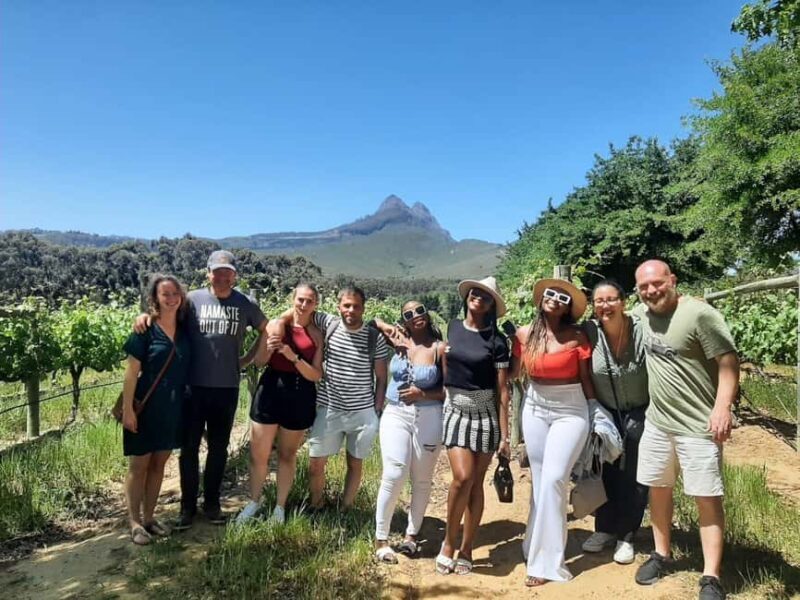 From Cape Town: Stellenbosch Four Estate Full-Day Wine Tour - An In-Depth Look at the Tour Experience