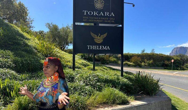 From Cape Town: Stellenbosch & Franschhoek Wine Tasting Tour - Final Thoughts