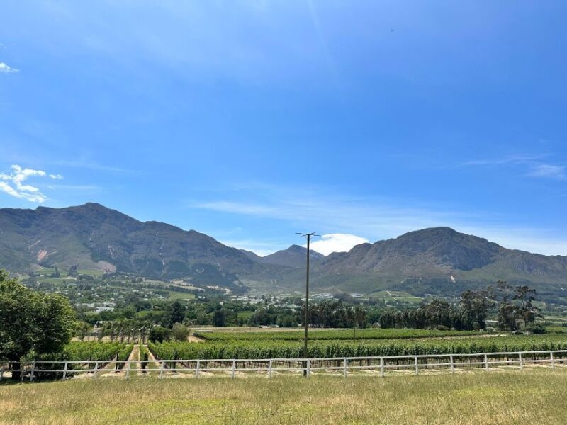 From Cape Town: Table Mountain City tour and Boulders Beach - FAQ