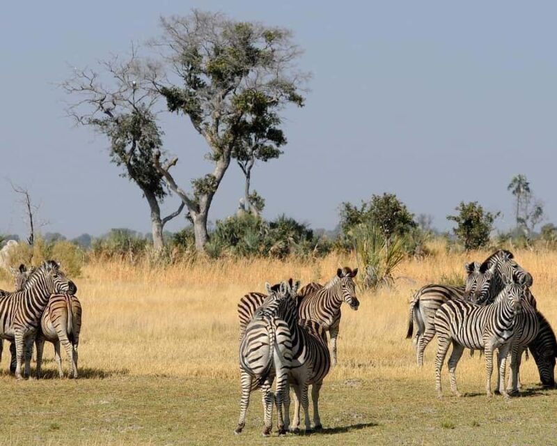 From Cape Town: Victoria Falls Highlights 2-Day Tour - Key Points