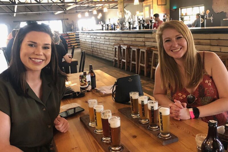 From Cape Town: Wildlife Safari, Olive, Beer & Wine Tasting - Sweet Endings & Scenic Return