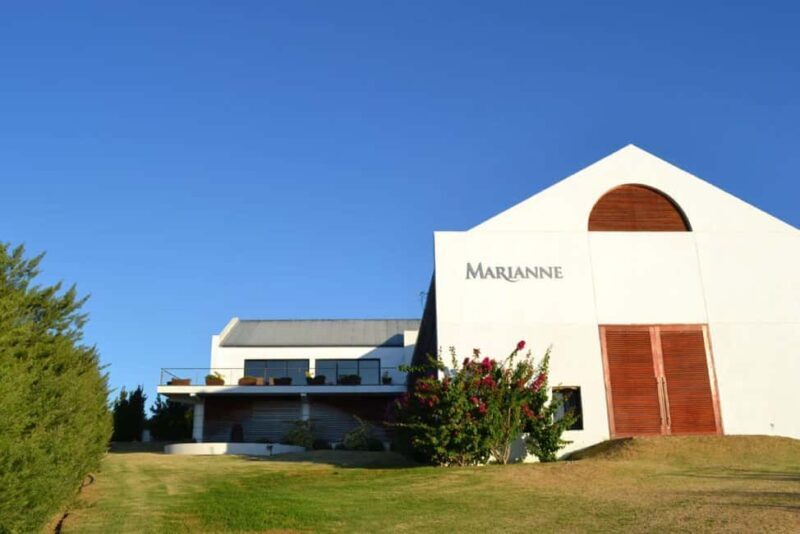 From Cape Town: Winelands Day Trip w/ Wine & Cheese Tastings - What Makes the Tastings Special