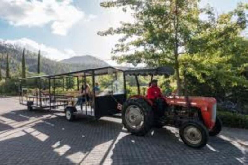 From Cape Town: Winelands Day Trip w/ Wine & Cheese Tastings - Who Will Love This Tour?