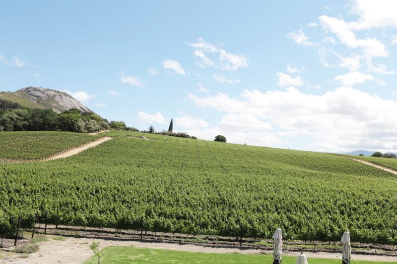 From Cape Town: Winelands Full Day Tour and Wine Tasting - What We Loved About This Tour