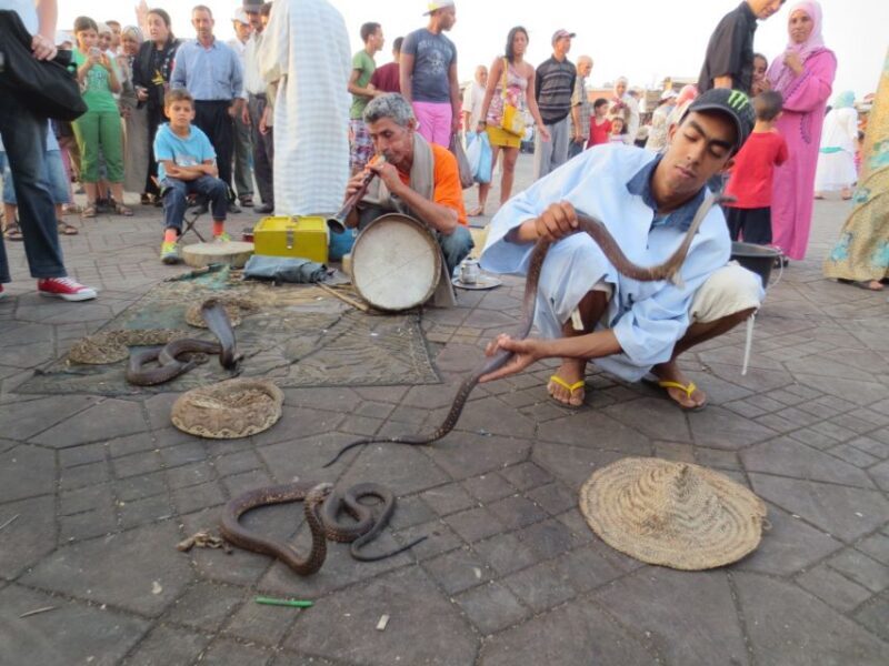 From Casablanca: 10-Day Morocco Tour - An In-Depth Look at the 10-Day Morocco Tour