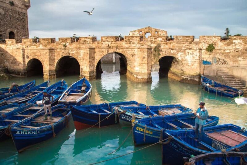 From Casablanca: 13-Day Private Morocco Tour Highlights - Key Points