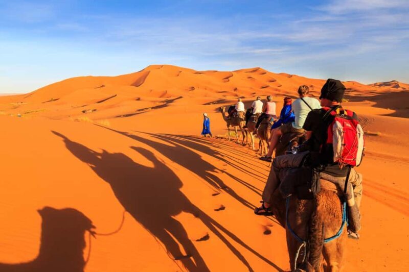 From Casablanca: 13-Day Private Morocco Tour Highlights - The Value and Practicalities