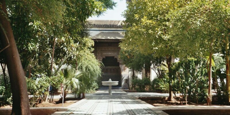 From Casablanca: Day Trip to Marrakech with Camel Ride - Transportation and Guide Experience