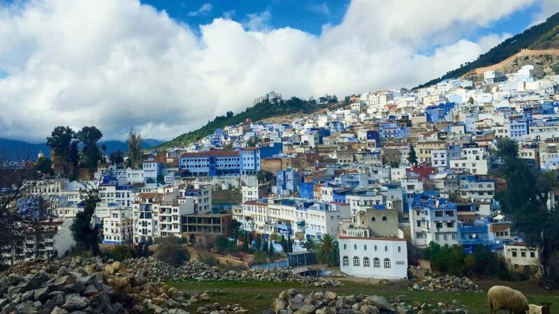From Casablanca: Rabat, Tanger, Chefchaouen & Fes 5-Day Tour - A Detailed Look at the Tour Experience