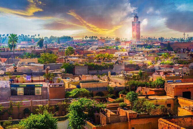 From Casablanca to Marrakech: A Day of History and Culture - An Authentic Day Trip Between Two Moroccan Icons