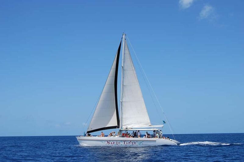 From Castries: Full-Day Catamaran Tour to Soufriere - Key Points