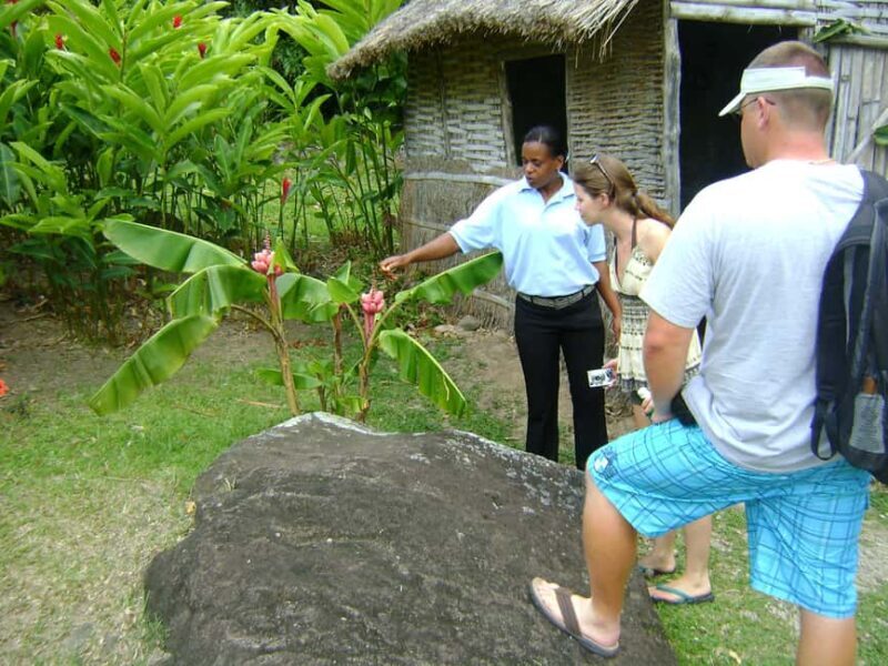From Castries: Full-Day Catamaran Tour to Soufriere - What Travelers Say
