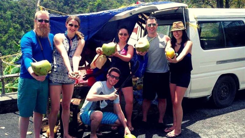 From Castries: St.Lucia Island Guided Tour - What to Expect During Your Tour
