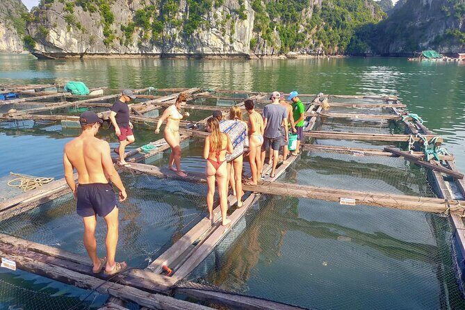 From Cat Ba island: full day boat tour to Lan Ha bay - Ha Long bay - What Travelers Love Most