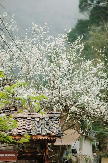 From Cat Ba to Ha Giang Loop Tour 4D3N with Strawberry - FAQs