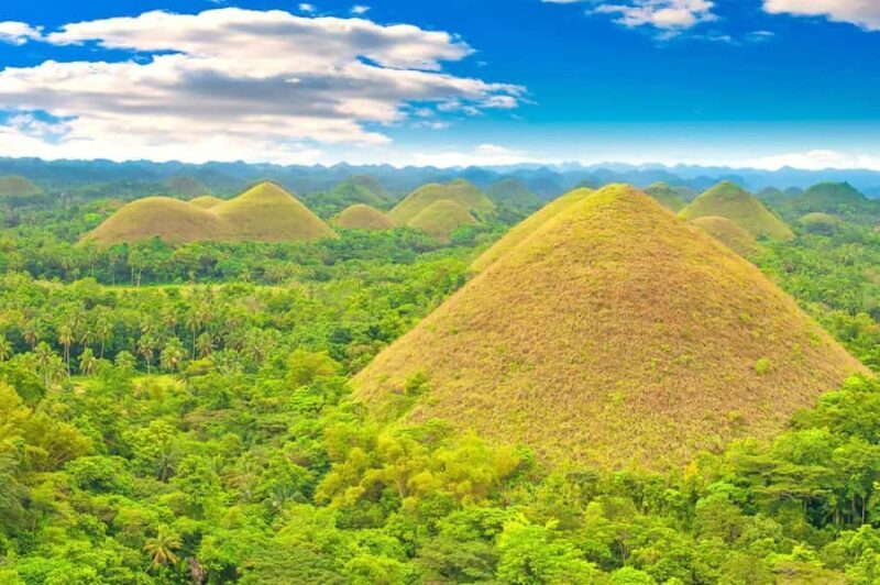 From Cebu: Bohol Countryside Private Tour with Buffet Lunch - Key Points