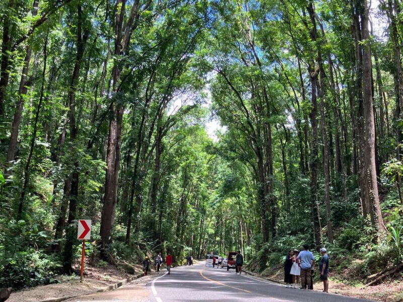 From Cebu City: Bohol Island Highlights in One Day - FAQ