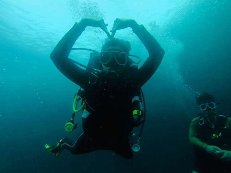 From Cebu City: Scuba Diving with Whale Sharks Trip in Oslob - An In-Depth Look at the Oslob Whale Shark Scuba Trip