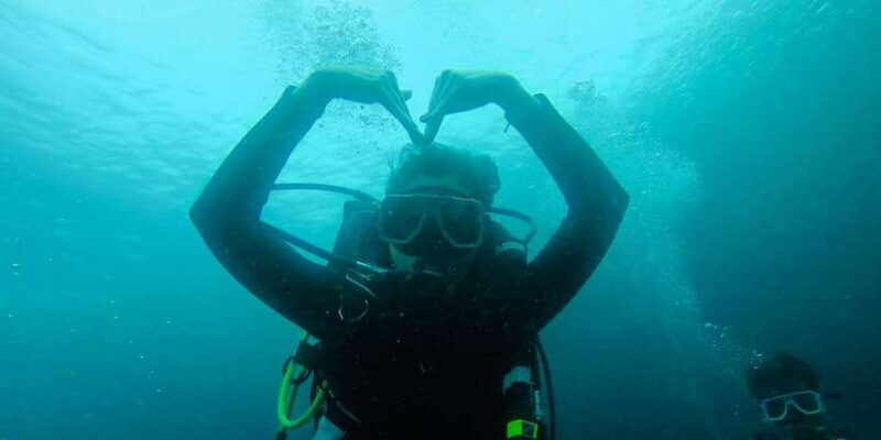 From Cebu City: Scuba Diving with Whale Sharks Trip in Oslob - Final Thoughts