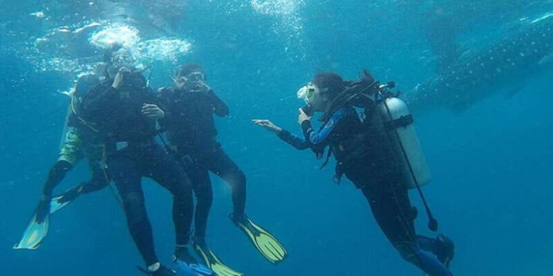 From Cebu City: Scuba Diving with Whale Sharks Trip in Oslob - FAQ