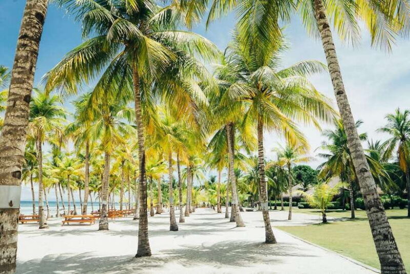 From Cebu: Day Trip to Bohol Highlights - The Itinerary Breakdown