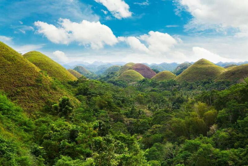 From Cebu: Day Trip to Bohol Highlights - Transportation and Group Size