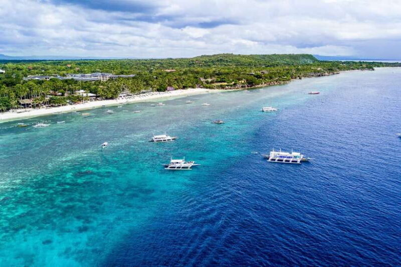 From Cebu: Day Trip to Bohol Highlights - Price and Value Analysis