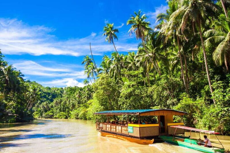 From Cebu: Day Trip to Bohol Highlights - Final Thoughts