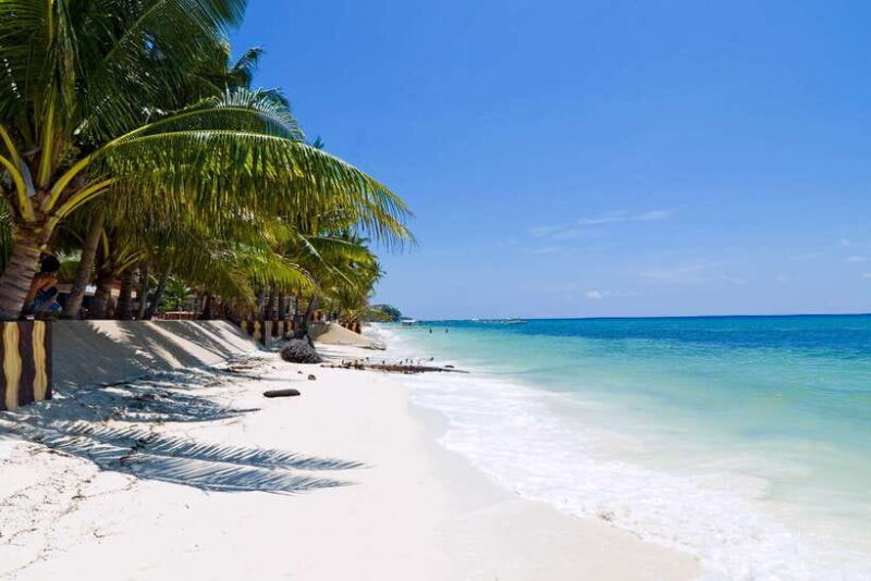 From Cebu: Day Trip to Bohol Highlights - Who is this tour best suited for?
