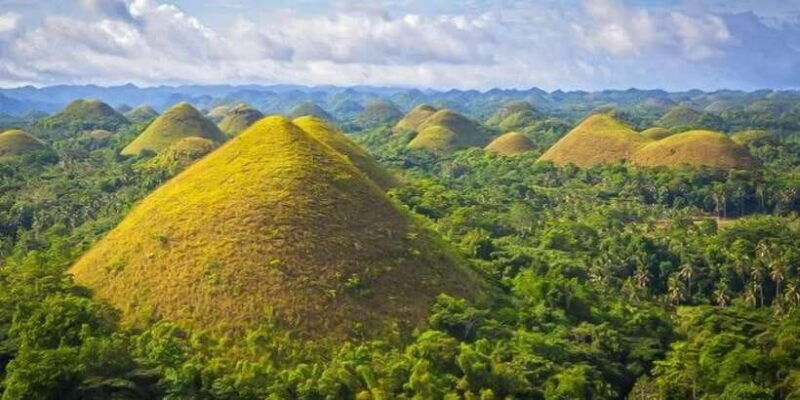From Cebu: Full-Day Bohol Excursion - An In-Depth Look at the Full-Day Bohol Tour