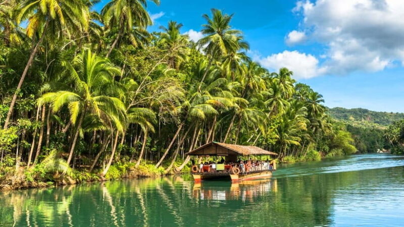 From Cebu: Full-Day Bohol Excursion - What Reviews Tell Us