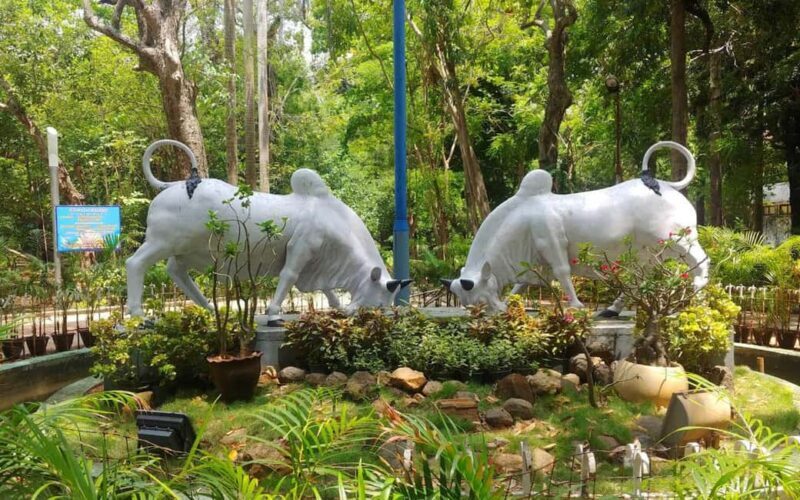 From Chennai: Private Pondicherry & Auroville Day Tour - Key Points