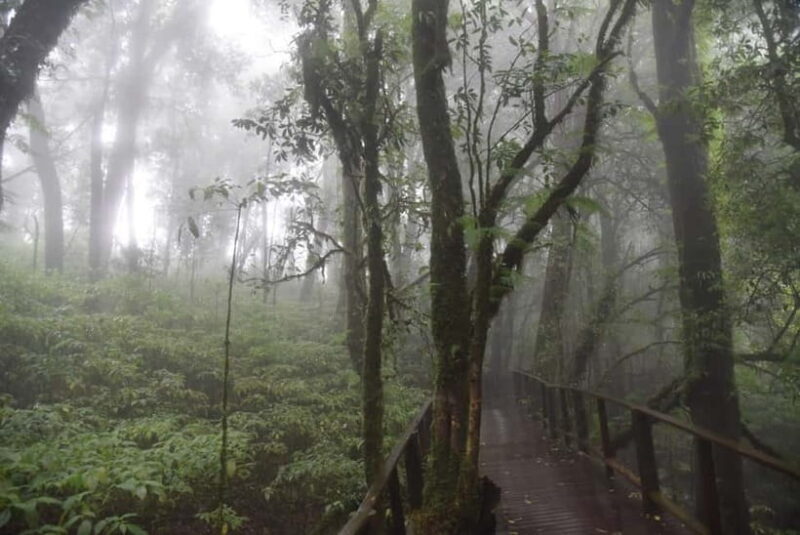 From Chiang Mai: Doi Inthanon National Park Day Trip - Key Points
