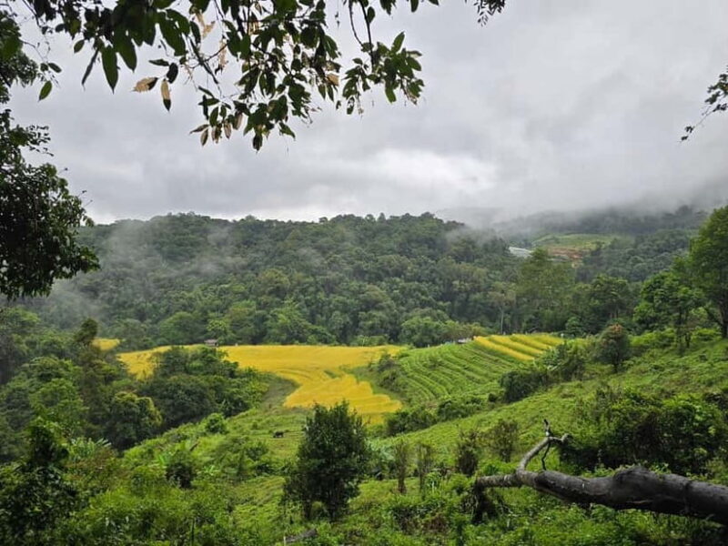 From Chiang Mai: Doi Inthanon National Park Day Trip - FAQ