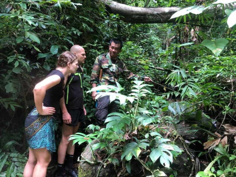 From Chiang Mai: Doi Saket Hiking Tour with Lunch - Key Points