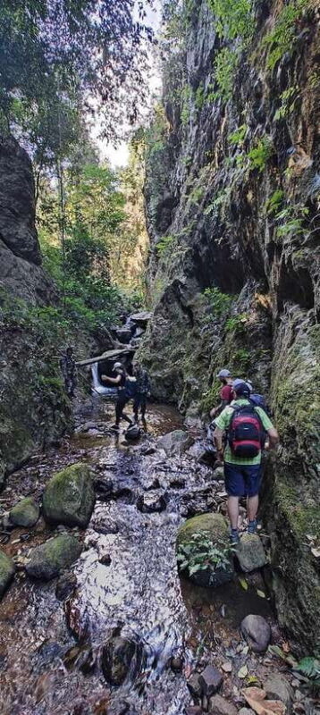 From Chiang Mai: Doi Saket Hiking Tour with Lunch - In-Depth Review of the Doi Saket Hiking Tour