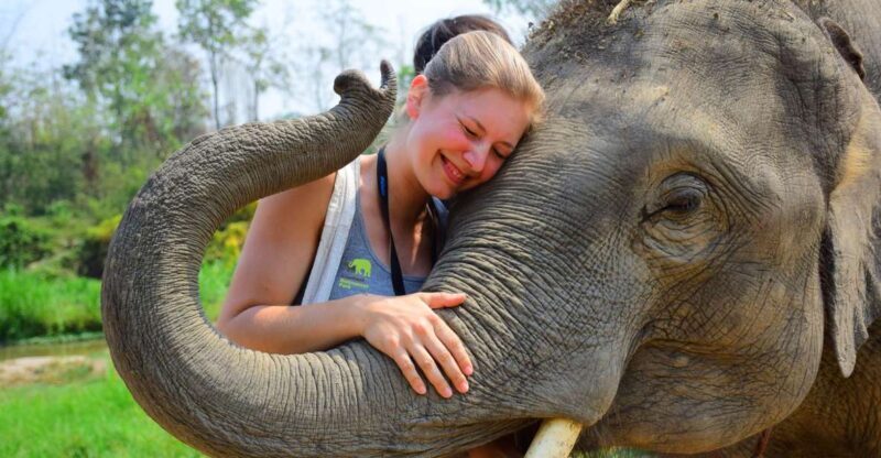 From Chiang Mai: Elephant Care Program and Nursery Tour - An Honest Look at the Experience