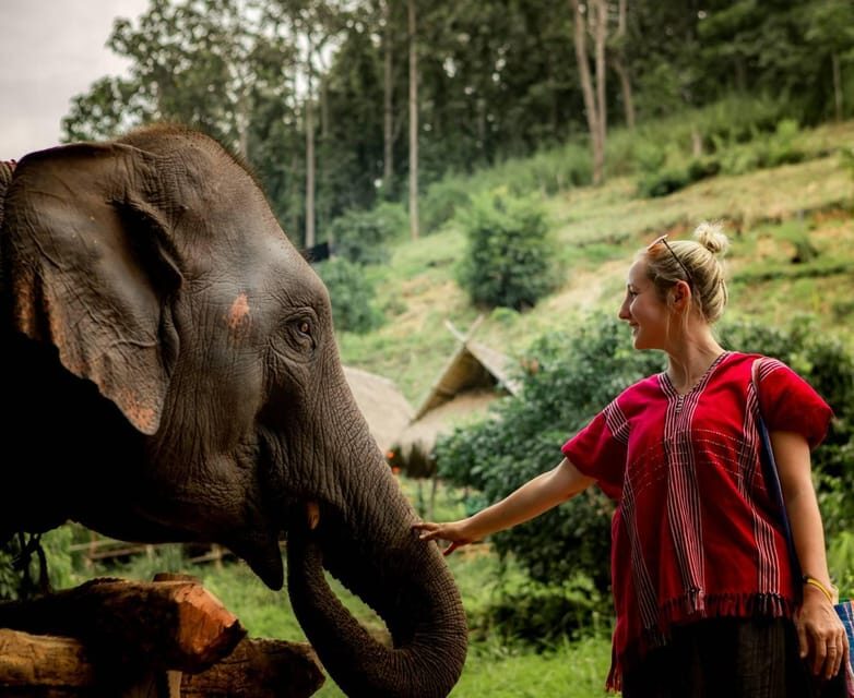 From Chiang Mai: Kerchor Eco Elephant Park Tour - Meeting and Feeding the Elephants