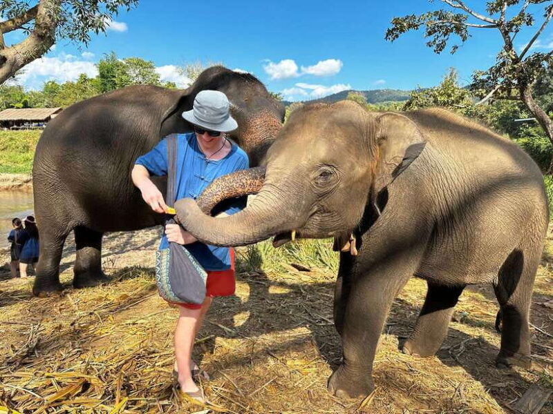 From Chiang Mai: Living Green Elephant Sanctuary Tour - Who Should Consider This Tour?