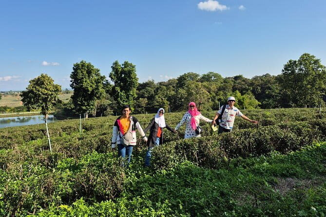From Chiang Rai: 7 wonder Full-Day Tour and Thai Buffet lunch - The Dark Side: House of Opium Museum