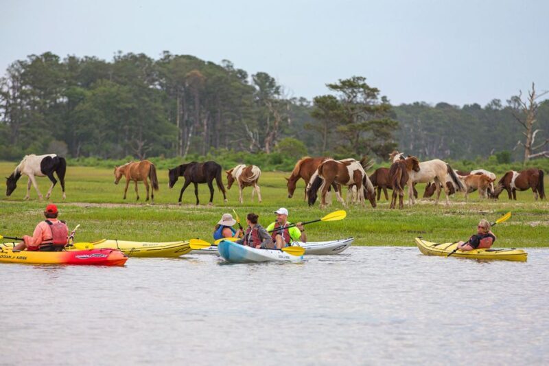 From Chincoteague: Guided Kayak Tour to Assateague Island - Exploring the Assateague Kayak Experience